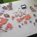 IMG-20250601-WA0011